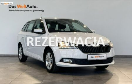 Używany samochód marki Škoda, model Fabia, rocznik 2020, przebieg 81500km - miniaturka 0