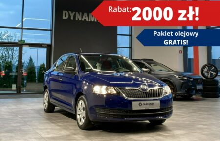 Używany samochód marki Škoda, model RAPID, rocznik 2017, przebieg 133500km - miniaturka 0