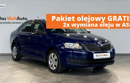 Używany samochód marki Škoda, model RAPID, rocznik 2017, przebieg 133500km - miniaturka 0