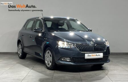 Używany samochód marki Škoda, model Fabia, rocznik 2019, przebieg 76000km - miniaturka 0