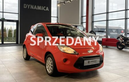 Używany samochód marki Ford, model KA, rocznik 2009, przebieg 176000km - miniaturka 0