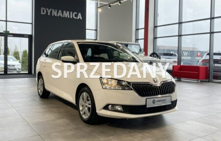 Używany samochód marki Škoda, model Fabia, rocznik 2020, przebieg 107400km - miniaturka 0