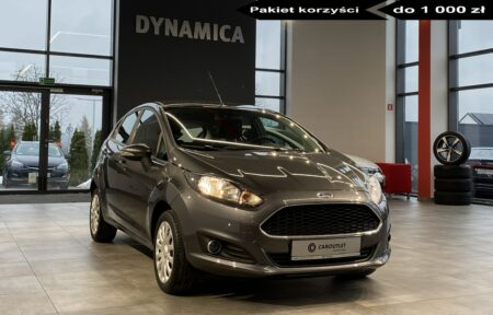 Używany samochód marki Ford, model Fiesta, rocznik 2017, przebieg 66500km - miniaturka 0