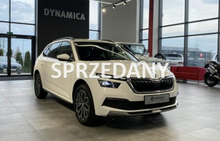 Używany samochód marki Škoda, model kamiq, rocznik 2019, przebieg 84200km - miniaturka 0