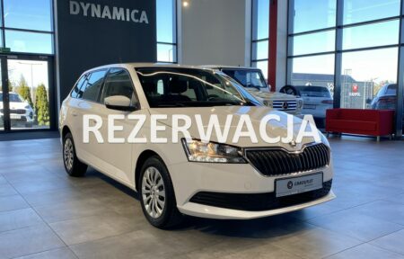 Używany samochód marki Škoda, model Fabia, rocznik 2020, przebieg 90300km - miniaturka 0