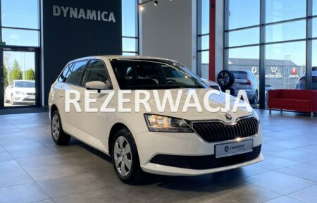 Używany samochód marki Škoda, model Fabia, rocznik 2019, przebieg 95800km - miniaturka 0