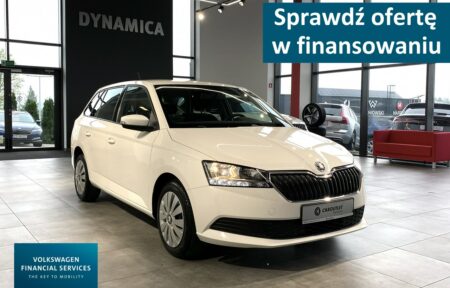 Używany samochód marki Škoda, model Fabia, rocznik 2019, przebieg 103700km - miniaturka 0