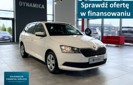 Używany samochód marki Škoda, model Fabia, rocznik 2019, przebieg 100900km - miniaturka 0