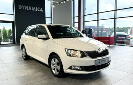 Używany samochód marki Škoda, model Fabia, rocznik 2018, przebieg 110200km - miniaturka 0
