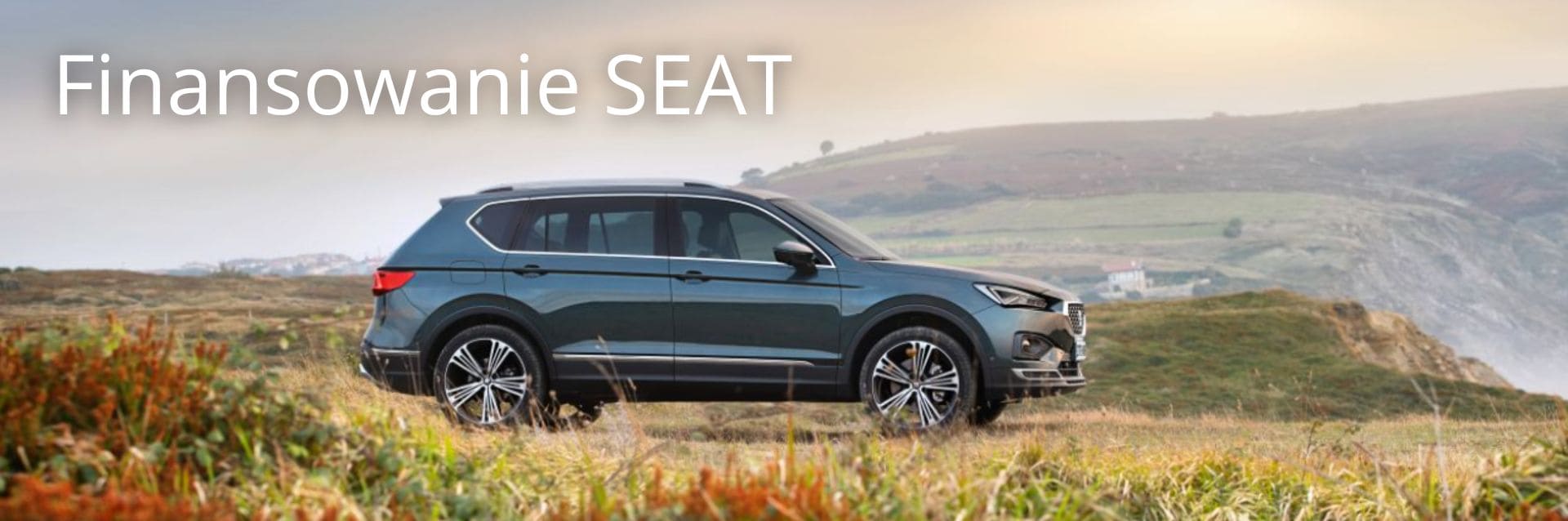 finansowanie seat, kredyt, najem, osoba fizyczna