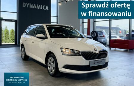Używany samochód marki Škoda, model Fabia, rocznik 2019, przebieg 81300km - miniaturka 0