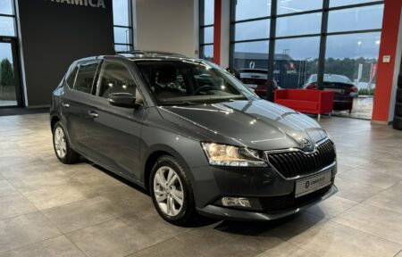 Używany samochód marki Škoda, model Fabia, rocznik 2021, przebieg 55100km - miniaturka 0