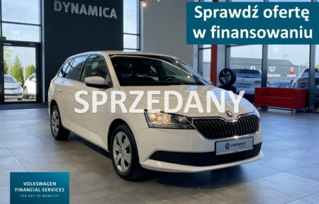 Używany samochód marki Škoda, model Fabia, rocznik 2019, przebieg 108600km - miniaturka 0