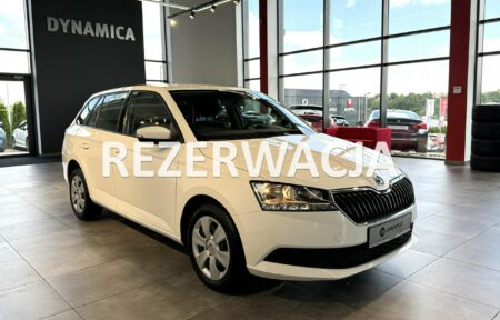 Używany samochód marki Škoda, model Fabia, rocznik 2019, przebieg 77700km - miniaturka 0