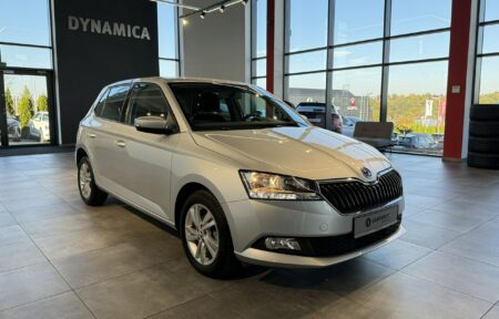 Używany samochód marki Škoda, model Fabia, rocznik 2019, przebieg 8700km - miniaturka 0