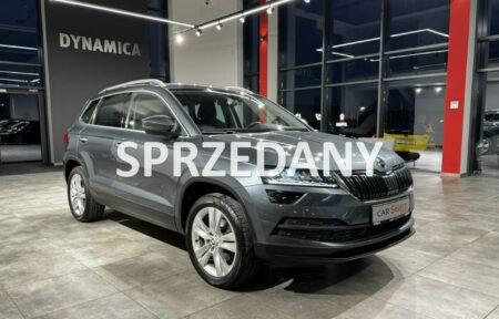 Używany samochód marki Škoda, model Karoq, rocznik 2019, przebieg 56900km - miniaturka 0