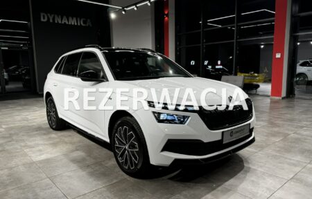 Używany samochód marki Škoda, model Kamiq, rocznik 2023, przebieg 7900km - miniaturka 0