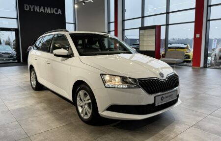 Używany samochód marki Škoda, model Fabia, rocznik 2021, przebieg 76100km - miniaturka 0