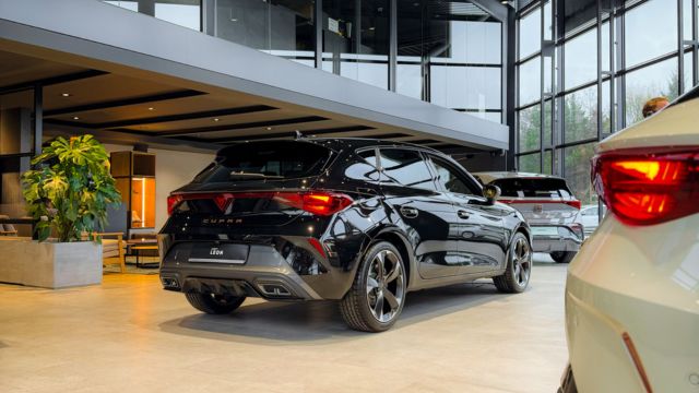 cupra jawornik, myślenice