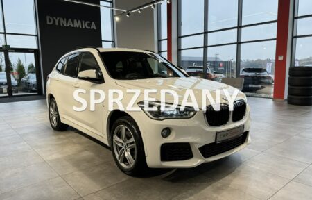 Używany samochód marki BMW, model X1, rocznik 2019, przebieg 122200km - miniaturka 0