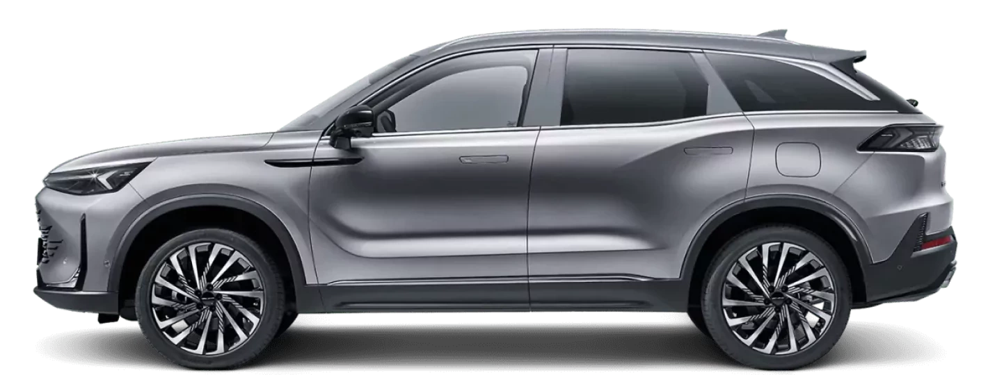 BAIC – strona główna - 74