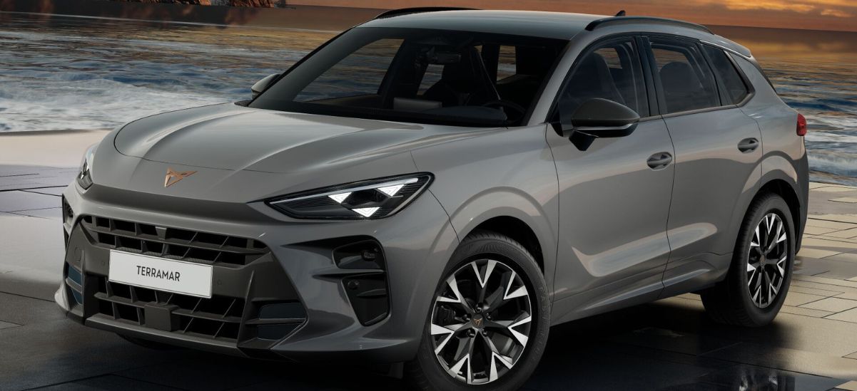 cupra terramar graphene grey