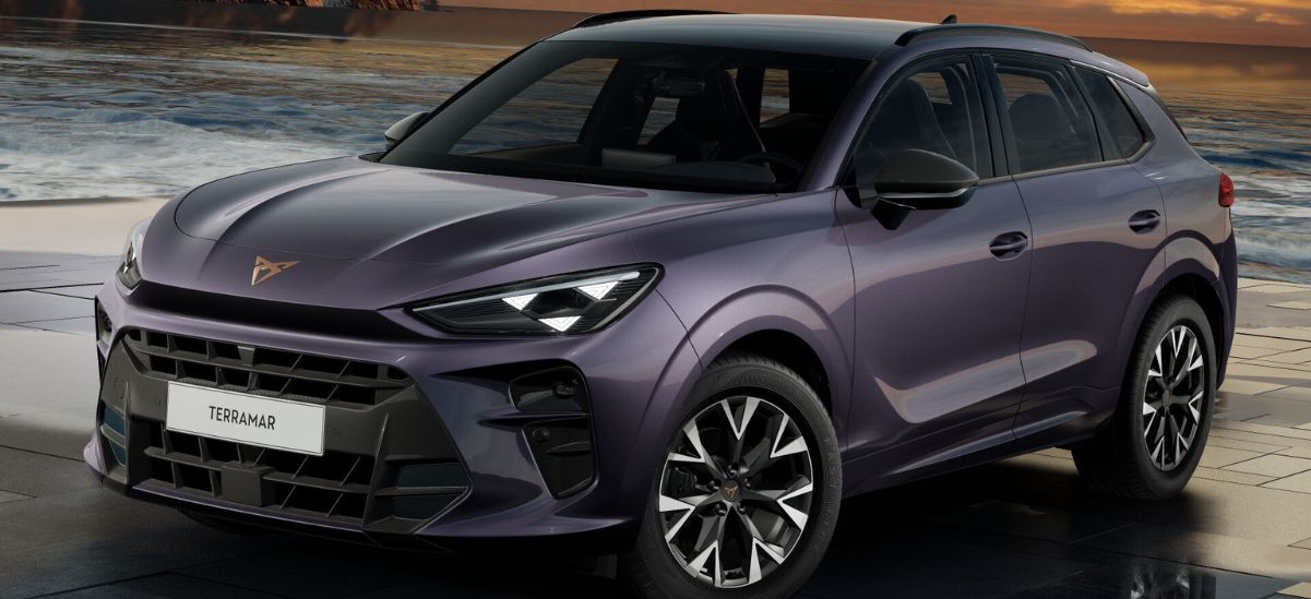 cupra terramar dark void