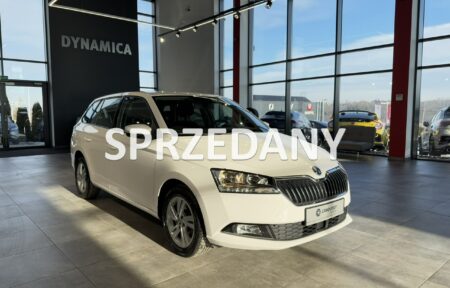 Używany samochód marki Škoda, model Fabia, rocznik 2020, przebieg 49100km - miniaturka 0