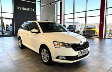 Używany samochód marki Škoda, model Fabia, rocznik 2019, przebieg 116200km - miniaturka 0