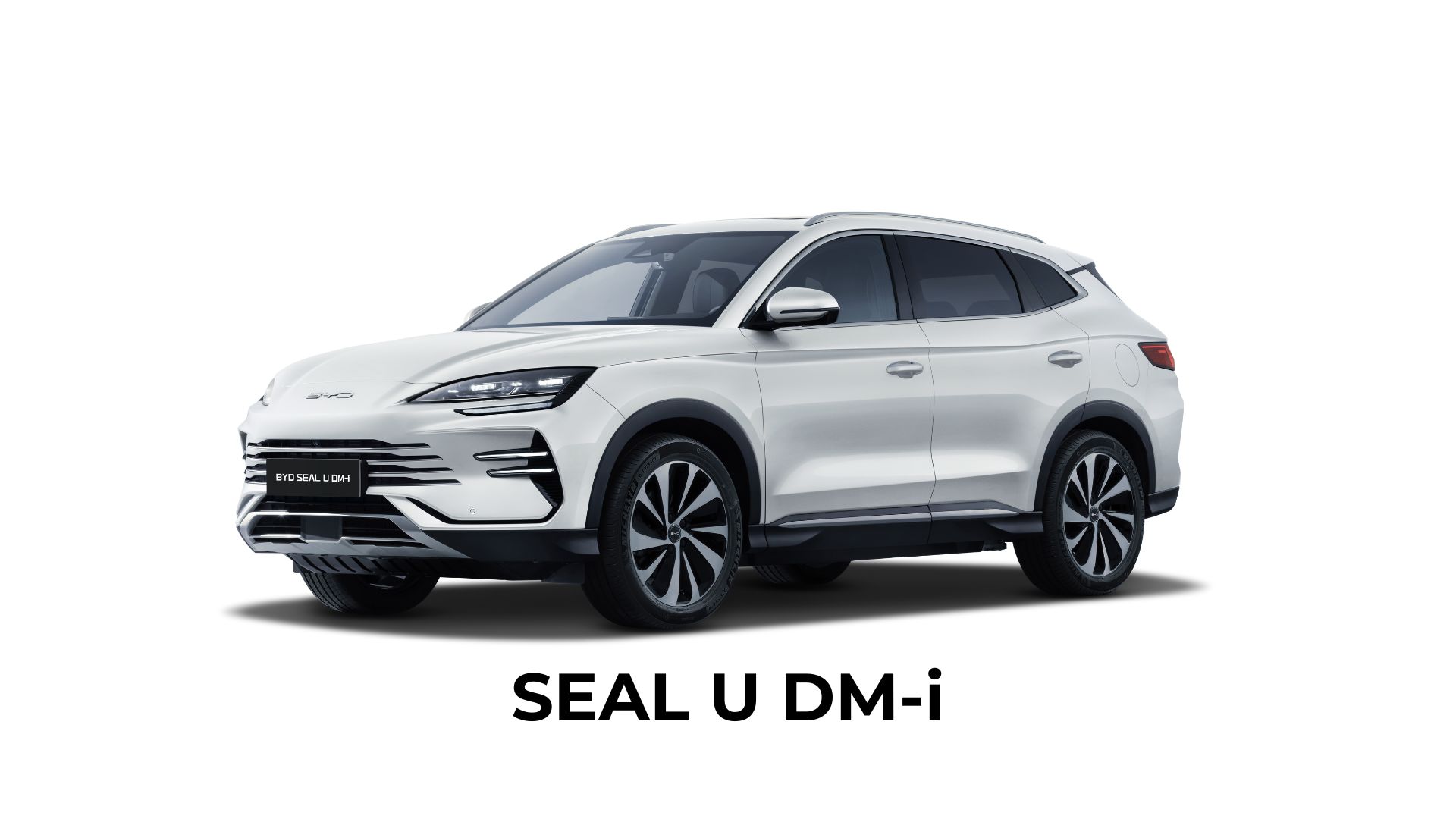 hybrydowy byd seal u dm-i, byd kraków, dynamica jawornik myślenice