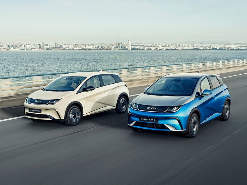 byd dolphin comfort, byd comfort design, salon byd kraków