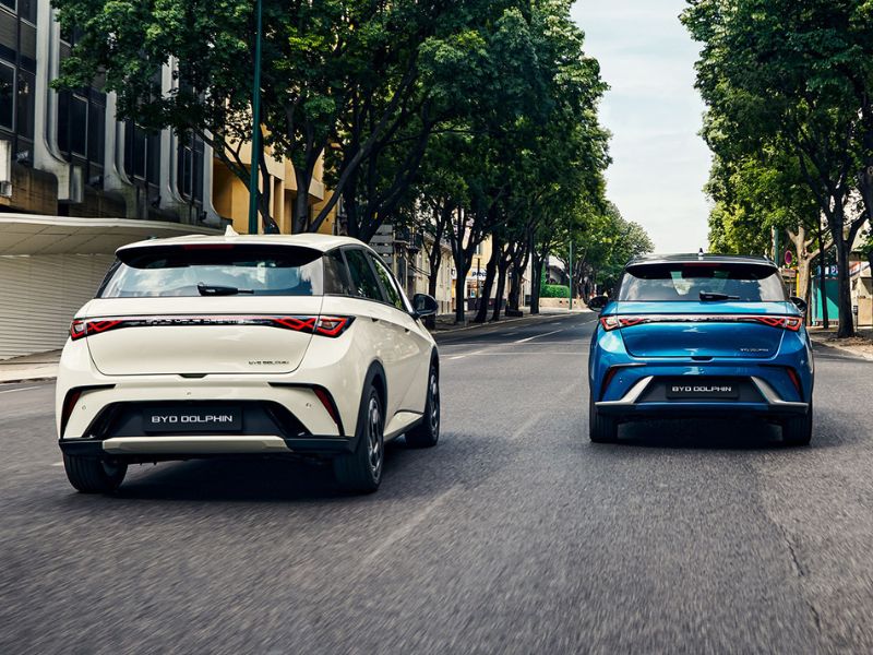 byd dolphin 5 gwiazdek ncap