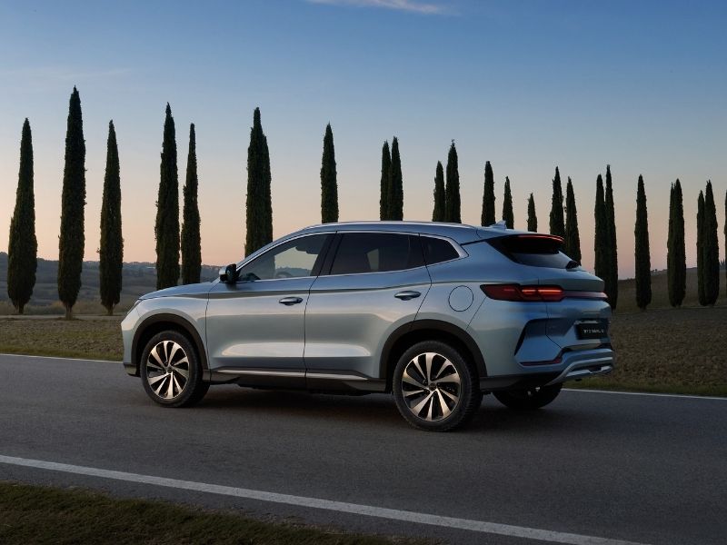 byd seal u dm-i, wykrywanie martwych punktów