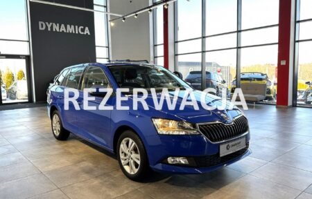 Używany samochód marki Škoda, model Fabia, rocznik 2019, przebieg 111400km - miniaturka 0