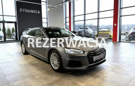 Używany samochód marki Audi, model A5, rocznik 2019, przebieg 119500km - miniaturka 0