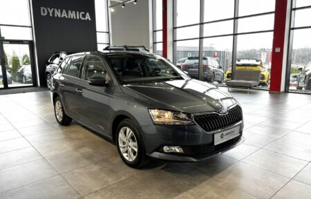 Używany samochód marki Škoda, model Fabia, rocznik 2019, przebieg 65900km - miniaturka 0