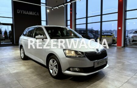 Używany samochód marki Škoda, model Fabia, rocznik 2021, przebieg 121300km - miniaturka 0