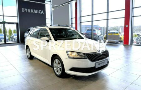 Używany samochód marki Škoda, model Fabia, rocznik 2021, przebieg 135400km - miniaturka 0