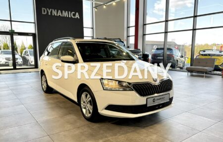 Używany samochód marki Škoda, model Fabia, rocznik 2021, przebieg 165300km - miniaturka 0