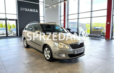 Używany samochód marki Škoda, model Fabia, rocznik 2010, przebieg 159300km - miniaturka 0