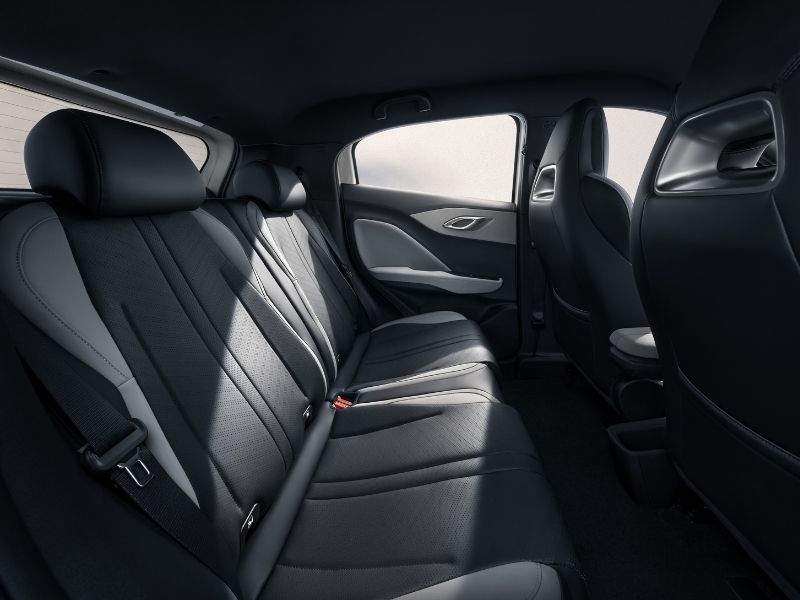 byd dolphin surf - wnętrze, tylna kanapa