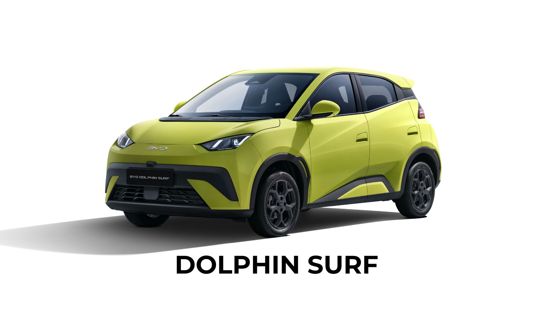 byd dolphin surf, byd kraków, dynamica jawornik myślenice