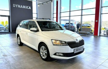 Używany samochód marki Škoda, model Fabia, rocznik 2021, przebieg 101700km - miniaturka 0