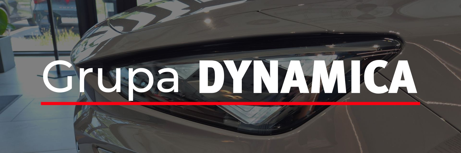 Usługi GRUPA DYNAMICA – COMPET - 77