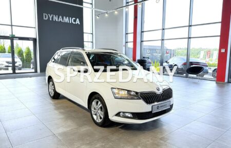 Używany samochód marki Škoda, model Fabia, rocznik 2022, przebieg 107900km - miniaturka 0