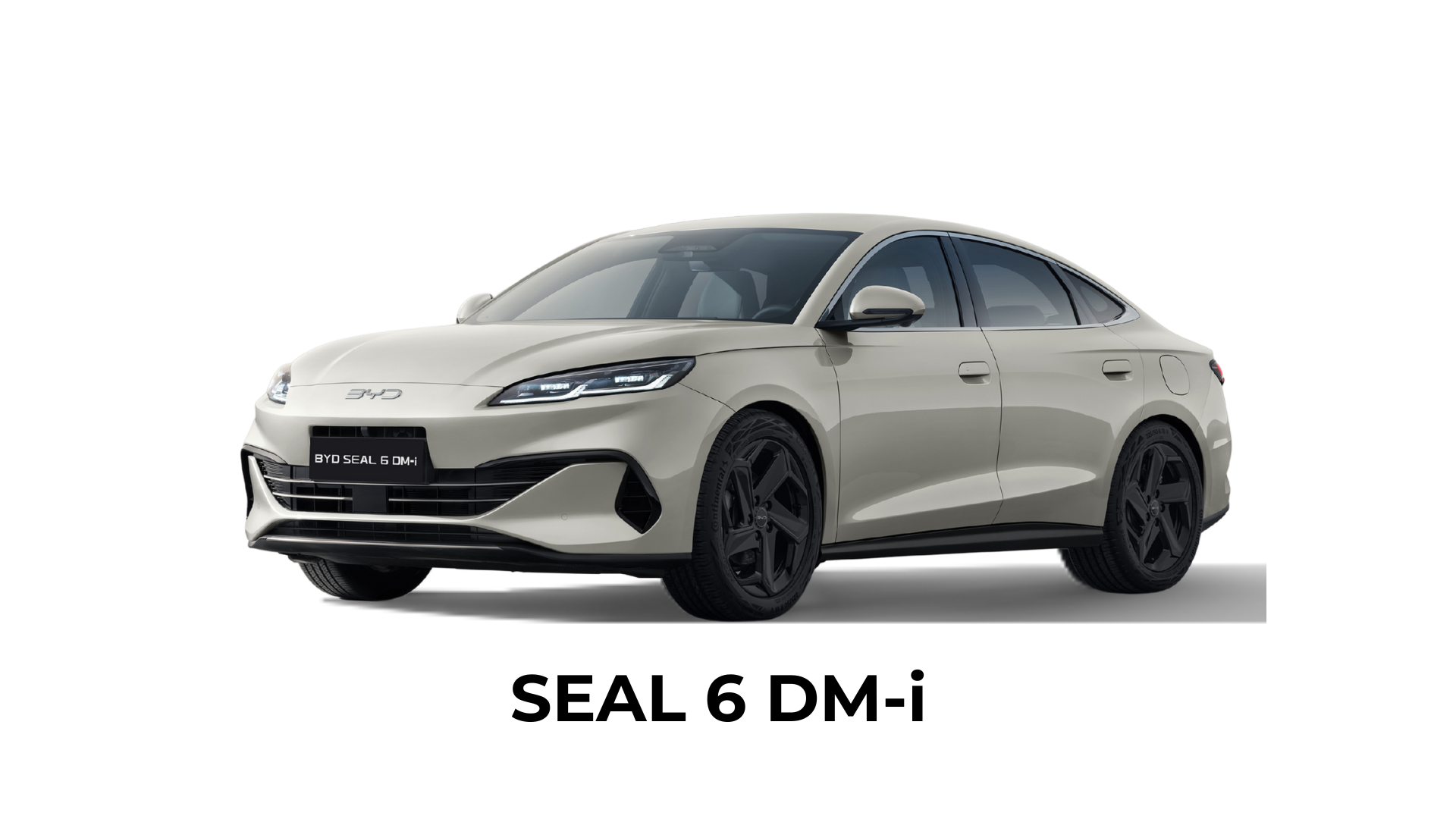 byd seal 6 dm-i, byd kraków, dynamica jawornik myślenice