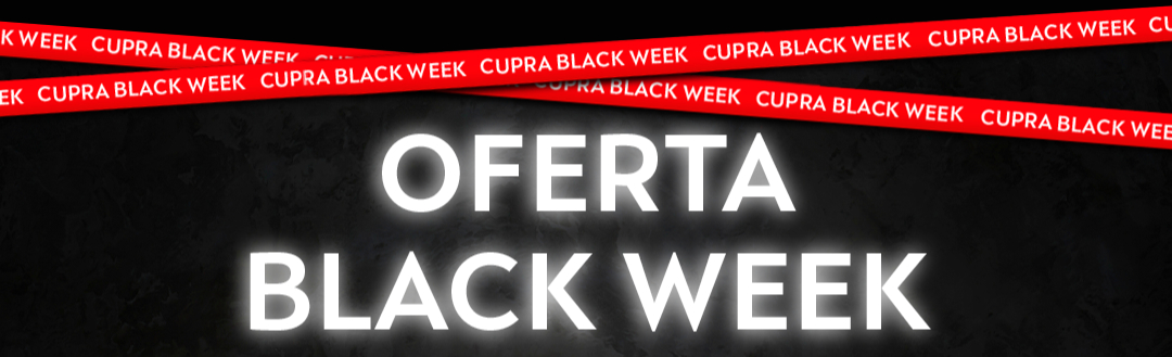 Black Friday w Dynamica - 69