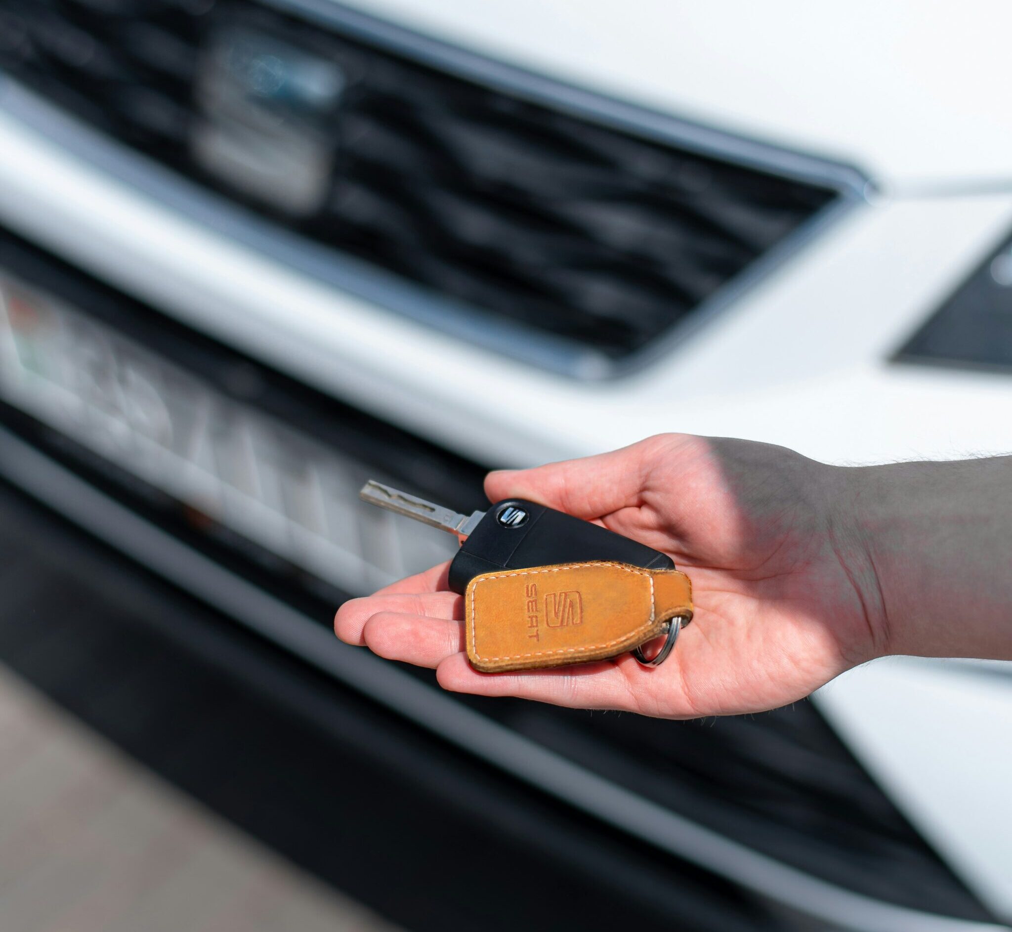 DYNAMICA Jawornik | Door-to-door - 66