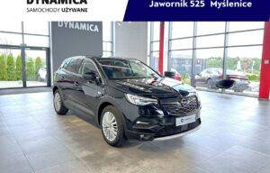 Używany samochód marki Opel, model Grandland X, rocznik 2019, przebieg 114400km