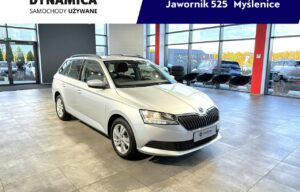 Używany samochód marki Škoda, model Fabia, rocznik 2022, przebieg 195400km